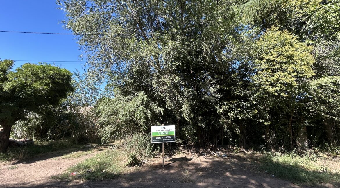 ¡¡LOTES EN VENTA!!