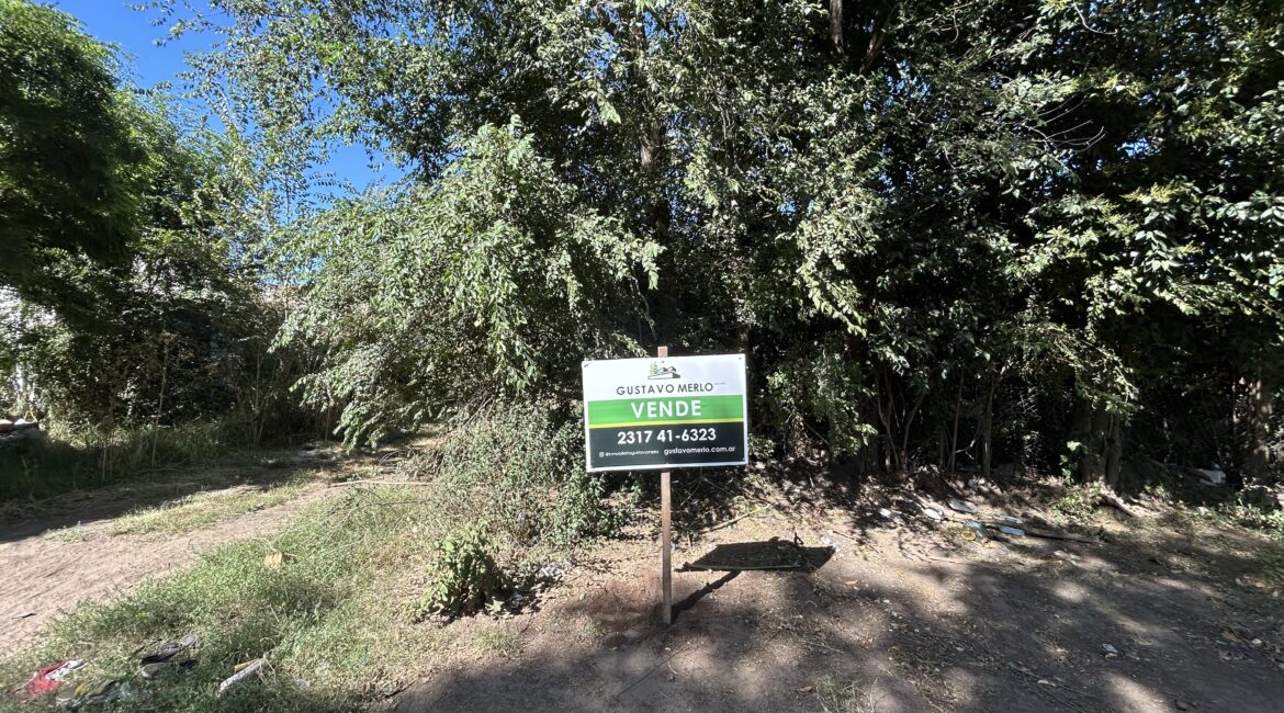 ¡¡LOTES EN VENTA!!