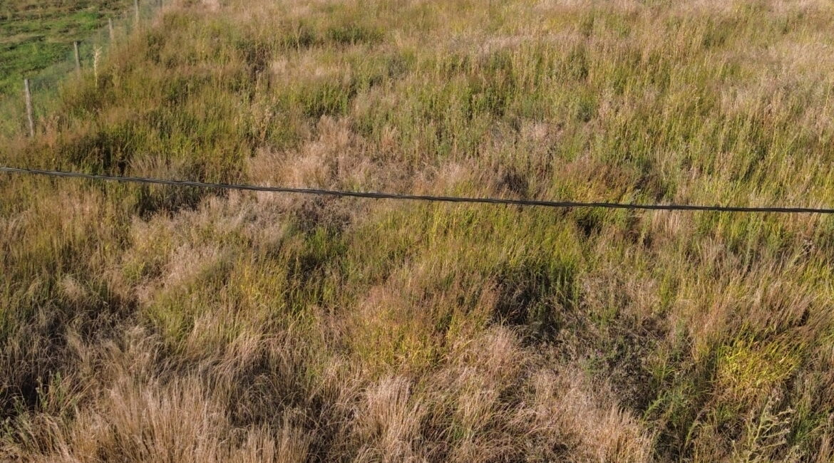 🌿 OPORTUNIDAD, LOTE EN EL PROVINCIAL 🌿