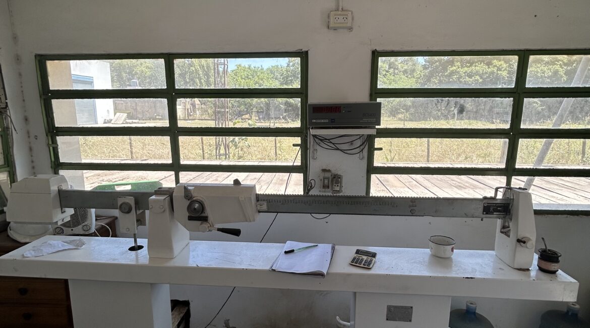 🌾 ¡OPORTUNIDAD ESTRATÉGICA: PLANTA DE SILOS EN VENTA! 🌾