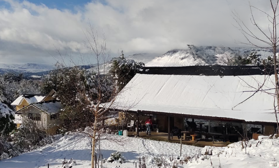 Casa en venta en San Martin de los Andes 🏡✨