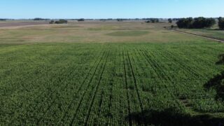 🚜¡OPORTUNIDAD, CAMPO EN VENTA!