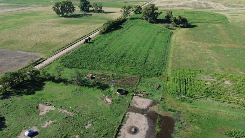 🚜¡OPORTUNIDAD, CAMPO EN VENTA!