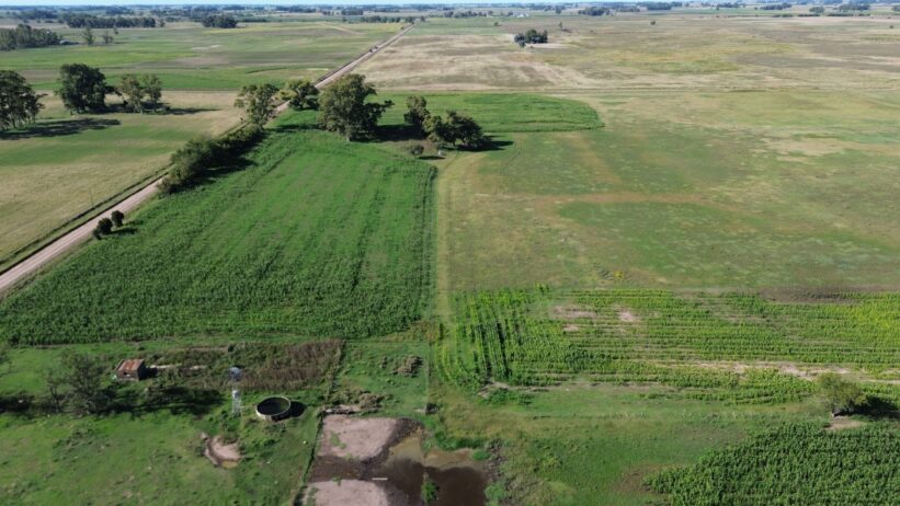 🚜¡OPORTUNIDAD, CAMPO EN VENTA!