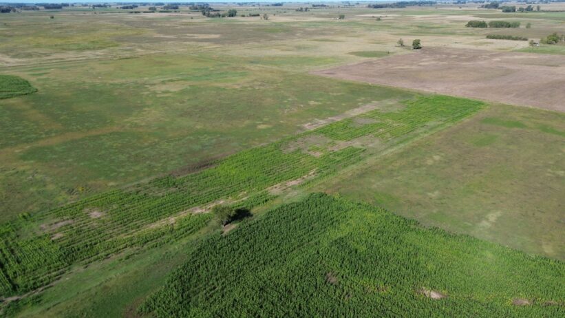 🚜¡OPORTUNIDAD, CAMPO EN VENTA!