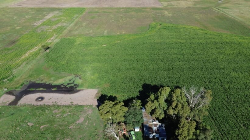 🚜¡OPORTUNIDAD, CAMPO EN VENTA!