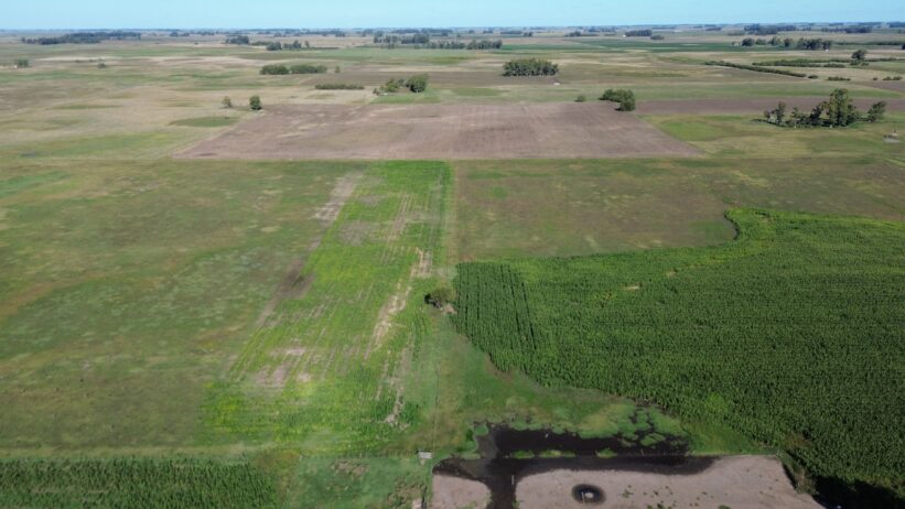 🚜¡OPORTUNIDAD, CAMPO EN VENTA!