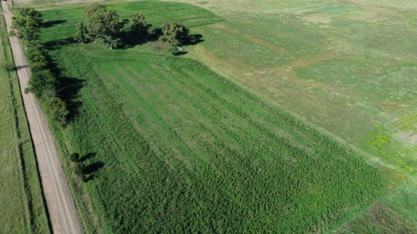 🚜¡OPORTUNIDAD, CAMPO EN VENTA!