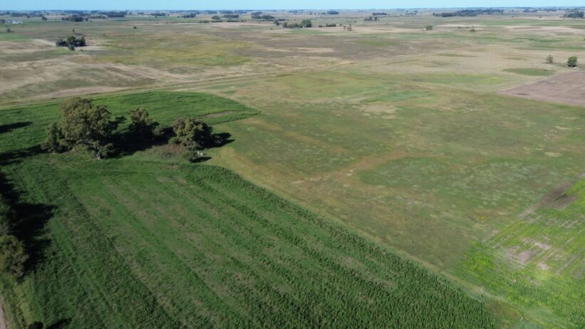 🚜¡OPORTUNIDAD, CAMPO EN VENTA!